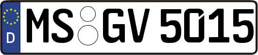 MS-GV5015