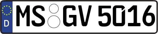 MS-GV5016