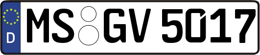MS-GV5017