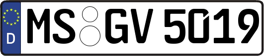 MS-GV5019