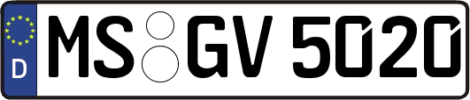 MS-GV5020