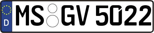MS-GV5022