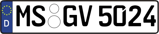 MS-GV5024