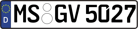 MS-GV5027