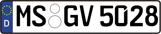 MS-GV5028