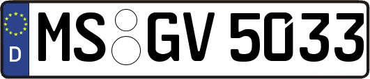 MS-GV5033