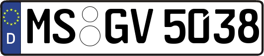 MS-GV5038