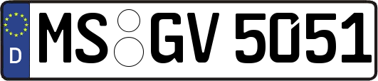 MS-GV5051