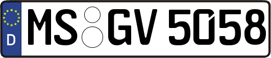 MS-GV5058