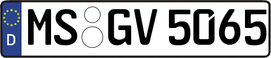 MS-GV5065