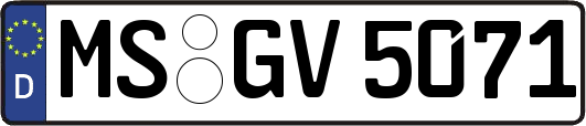 MS-GV5071