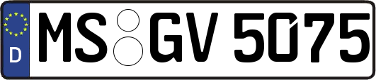 MS-GV5075