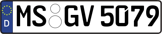 MS-GV5079