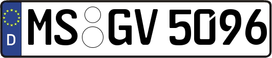 MS-GV5096