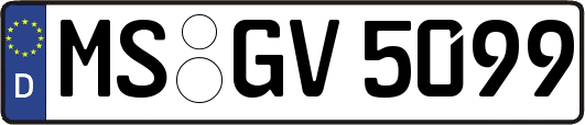 MS-GV5099
