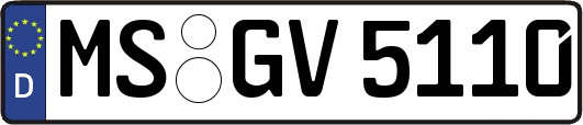 MS-GV5110