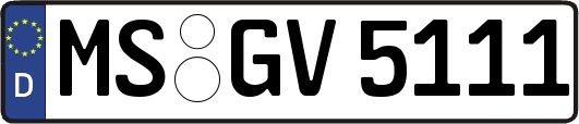 MS-GV5111