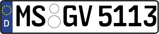 MS-GV5113