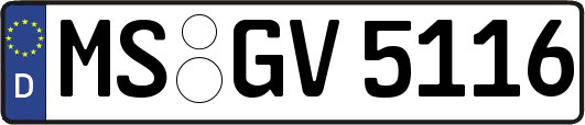 MS-GV5116