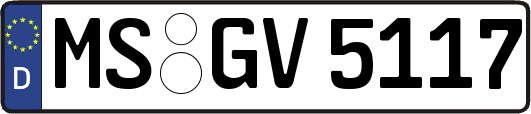 MS-GV5117