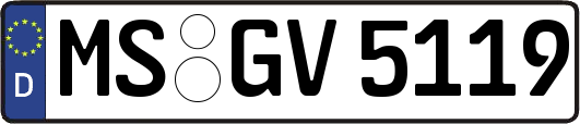 MS-GV5119