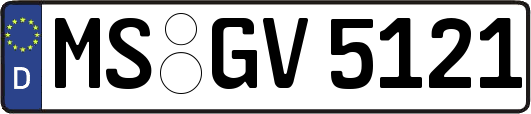 MS-GV5121