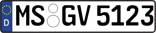 MS-GV5123
