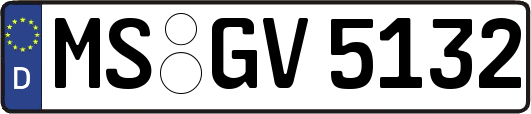 MS-GV5132