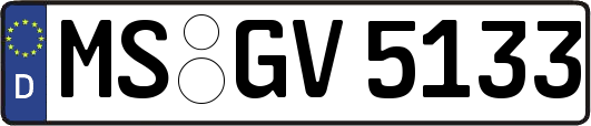 MS-GV5133