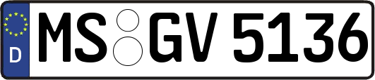 MS-GV5136