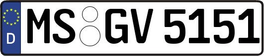 MS-GV5151