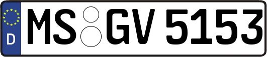 MS-GV5153