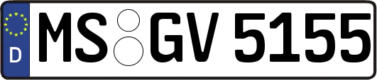 MS-GV5155
