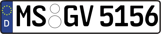 MS-GV5156