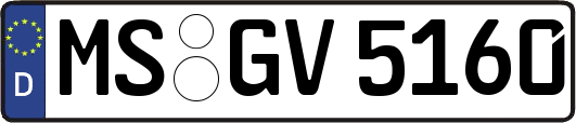 MS-GV5160