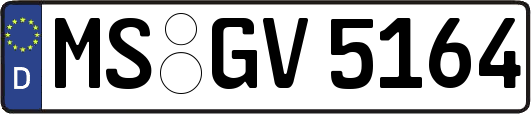MS-GV5164