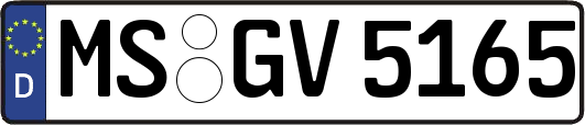 MS-GV5165
