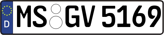 MS-GV5169
