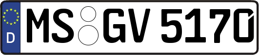 MS-GV5170