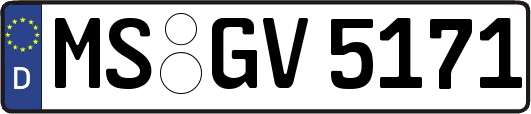 MS-GV5171