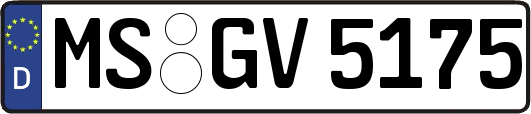 MS-GV5175