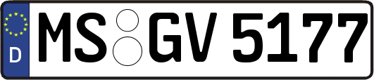 MS-GV5177