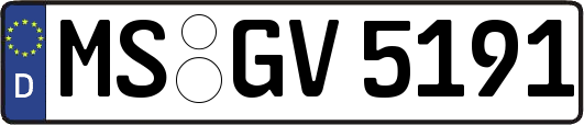 MS-GV5191