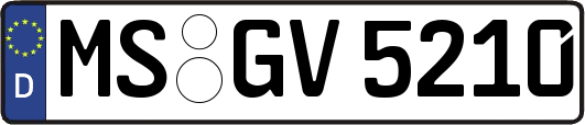 MS-GV5210