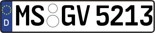 MS-GV5213