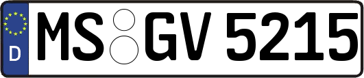 MS-GV5215