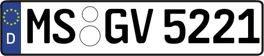 MS-GV5221