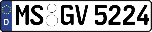 MS-GV5224