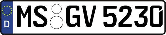 MS-GV5230
