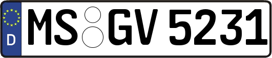 MS-GV5231